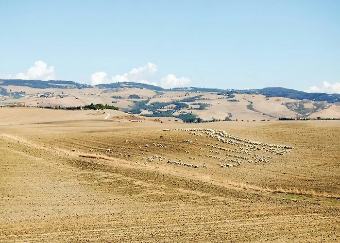 Schivanoia 2 Баньо-Виньони